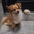 헤어라움 이미지