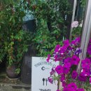 강바람식당 이미지