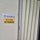 비채35 이미지