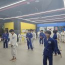 김포유도관 이미지