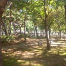 관동고분공원 앞 이미지