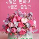 추카추카케이크