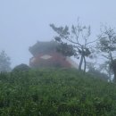 점암우체국 이미지