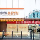 리더스동물병원 이미지