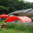 진안마이골 이미지