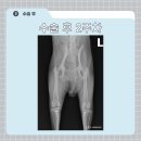 조양래동물병원 이미지