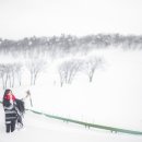 정희목장 이미지