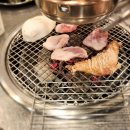 팔팔껍데기속초점 이미지