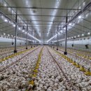 호연수산 이미지