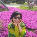 지리산둘레길 1코스 이미지