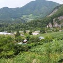 타시 삼시세끼 촬영장 와쪄 이미지