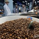 만물대장 이미지