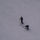 양지파인리조트 이미지