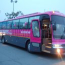 흥국생명여자배구단 버스 이미지