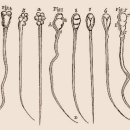 영인학원 이미지