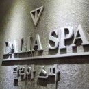 달리아에스테틱(건대점) 네이버블로그