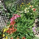 카페친구 이미지