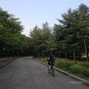 청춘식당 서정점 | [월간 기록] 6월의 일상