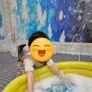 오늘은바다 이미지