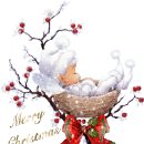 성탄절을 이렇게 준비하렵니다,, 이미지