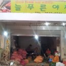 늘푸른야채 네이버블로그