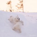 평화로운가족 이미지