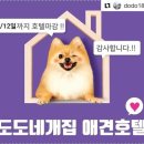 도도네 개집 이미지