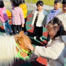 예일킨더유치원 | 🐎승마체험🐎
