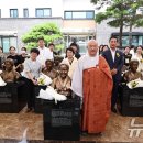 ﻿ 일본군 &#39;위안부&#39; 피해 할머니들을 기억합니다 이미지