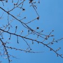 구례 테니스장 앞 | 화성 롤링힐스 호텔 후기 경기도 아이랑 호캉스 추천