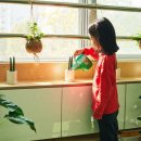 월곡초교 이미지