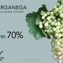 소아베(Soave)