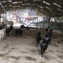 창조농장 이미지