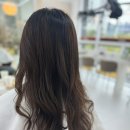 지축보그헤어 이미지