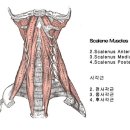 미래통증의원 이미지