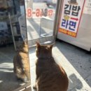 동충슈퍼
