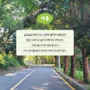 <어서오세요, 휴남동 서점입니다> 황보름, 수련 북토크 | 『달리기가 명상이 될 때』 (후기) 3차 북토크 with 21일챌린지 오리엔테이션