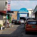 국립부여박물관 Daum카페