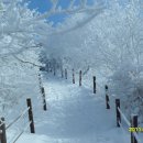 소백산(1,439m)-2월정기산행 (2/19(토)~20(일)-1박2일 이미지