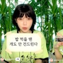 국립국어원 이미지