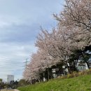 정림동 행정복지센터 이미지