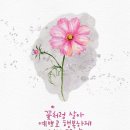 6월16일엔ㅡ도둑놈 심뽀~! 이미지