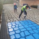 인천영종초등학교 이미지