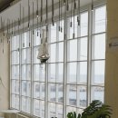 제주바개트 이미지