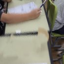 백운초등학교 | 백운초등학교 4학년 학교폭력 예방교육 후기: 똘망 똘망 한 눈망울로 배운 배려와 존중