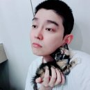 한국반려묘협회