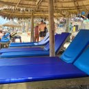 비치식당 이미지