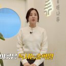독서논술 | 초등 문해력 고민? 박은혜 브이로그 속 책나무 독서논술학원 생생 후기