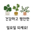 양수중앙약국 이미지