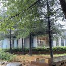 오월의정원 포레스트 이미지